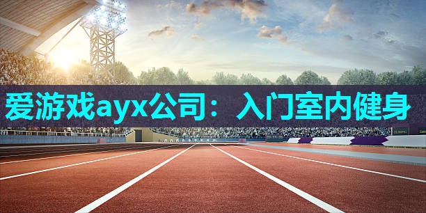 爱游戏ayx公司：入门室内健身