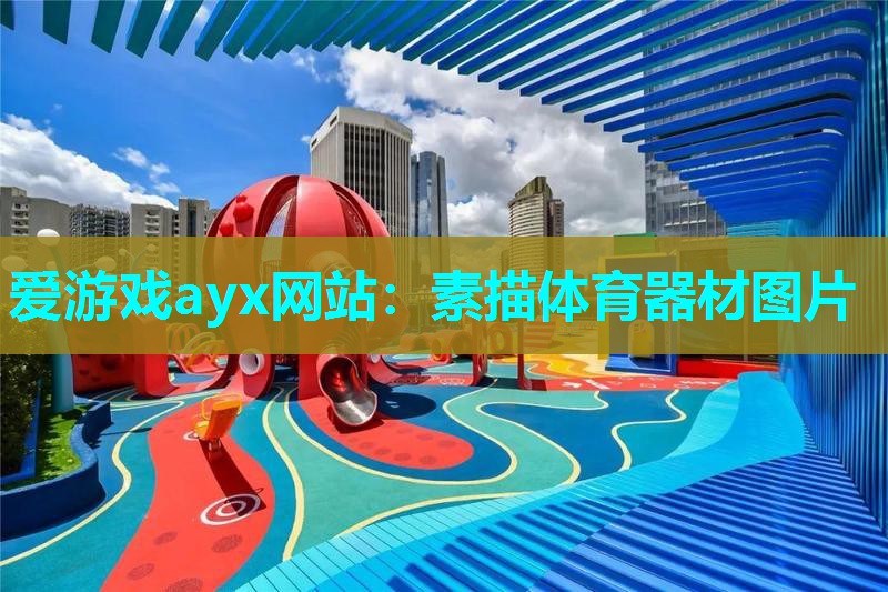 爱游戏ayx网站：素描体育器材图片