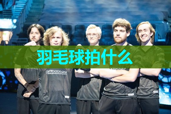 羽毛球拍什么