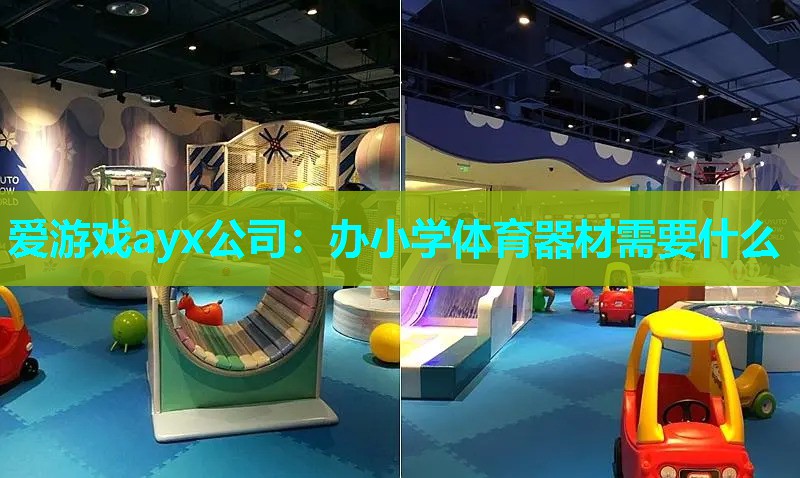 爱游戏ayx公司：办小学体育器材需要什么