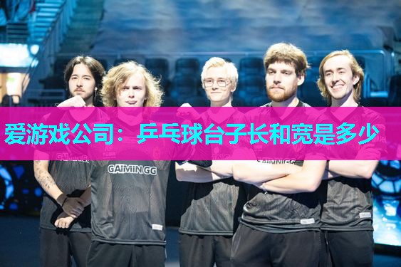 爱游戏公司：乒乓球台子长和宽是多少