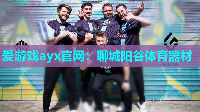 爱游戏ayx官网：聊城阳谷体育器材