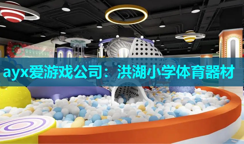 ayx爱游戏公司：洪湖小学体育器材