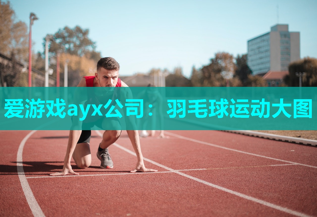 爱游戏ayx公司：羽毛球运动大图