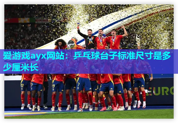 爱游戏ayx网站：乒乓球台子标准尺寸是多少厘米长
