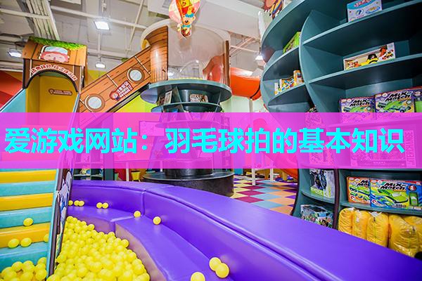 爱游戏网站：羽毛球拍的基本知识