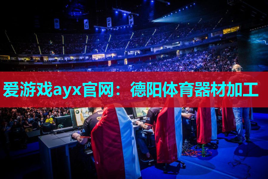 爱游戏ayx官网：德阳体育器材加工