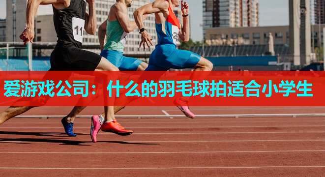 爱游戏公司：什么的羽毛球拍适合小学生