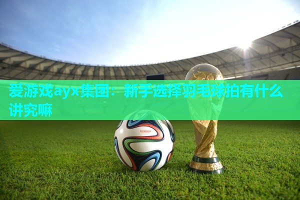 爱游戏ayx集团：新手选择羽毛球拍有什么讲究嘛
