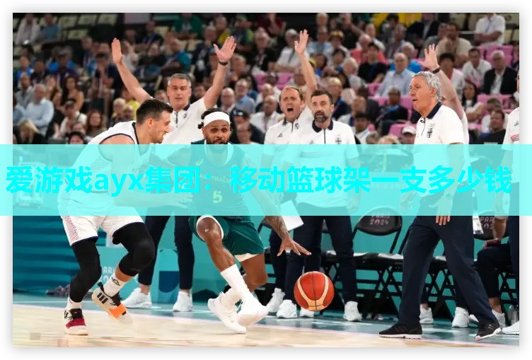 爱游戏ayx集团：移动篮球架一支多少钱