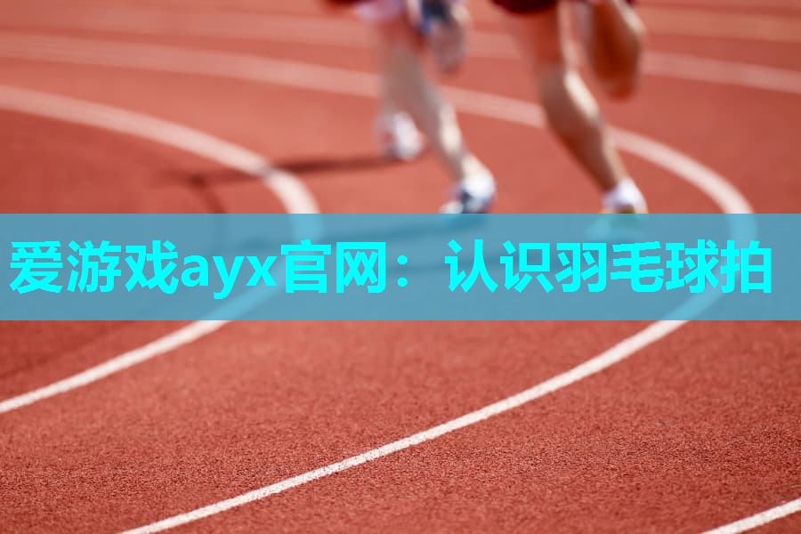 爱游戏ayx官网：认识羽毛球拍