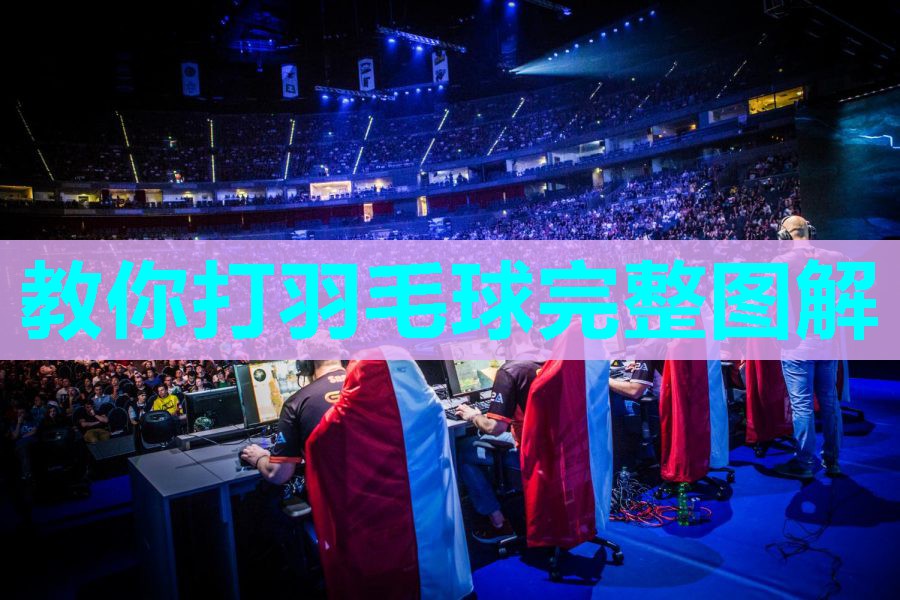 教你打羽毛球完整图解