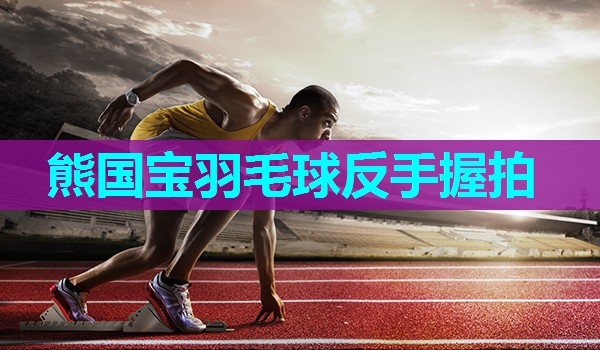 熊国宝羽毛球反手握拍