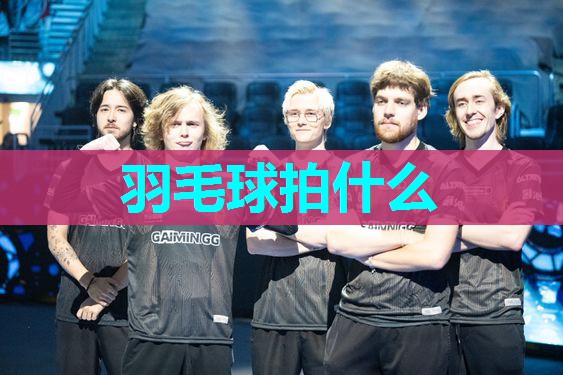 羽毛球拍什么