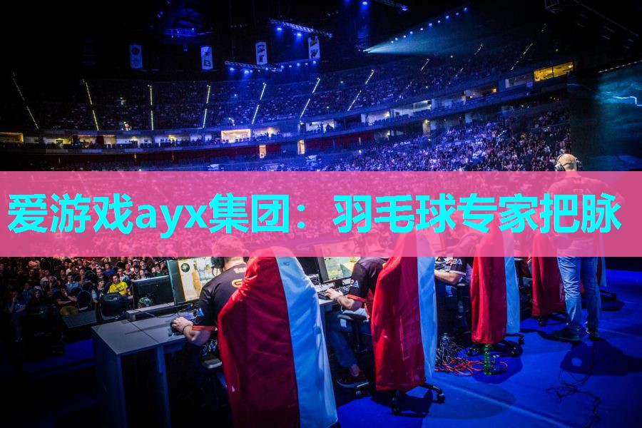羽毛球专家把脉