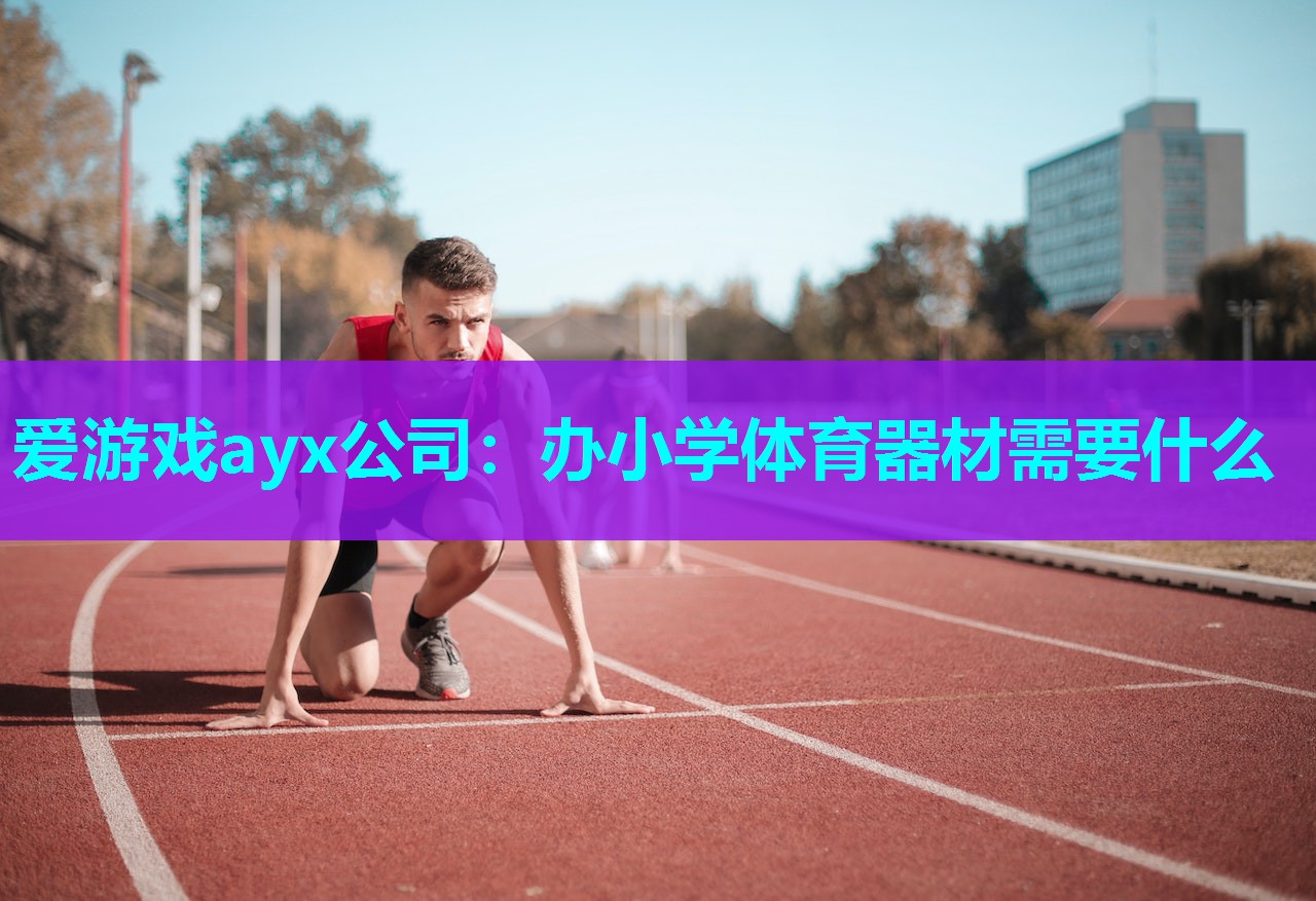 办小学体育器材需要什么