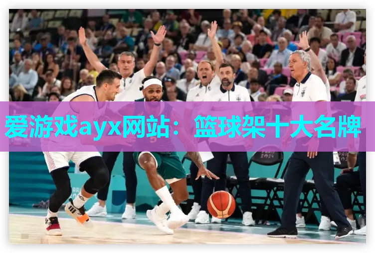 篮球架十大名牌