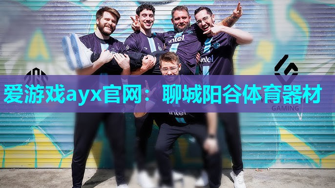 聊城阳谷体育器材