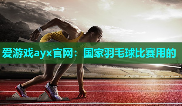 国家羽毛球比赛用的