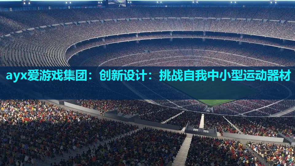 创新设计：挑战自我中小型运动器材