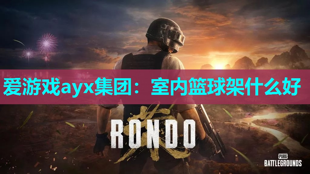 室内篮球架什么好