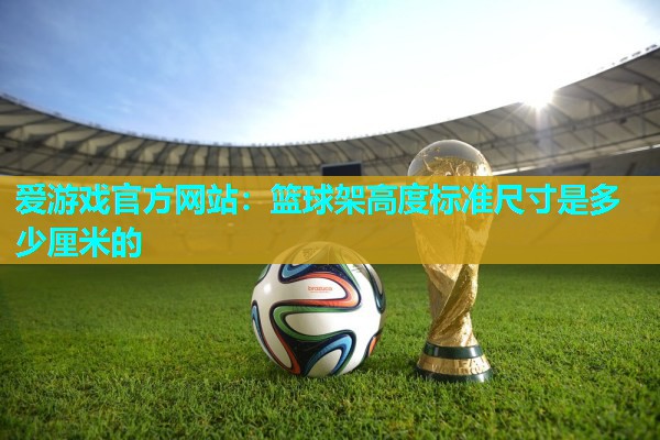 篮球架高度标准尺寸是多少厘米的