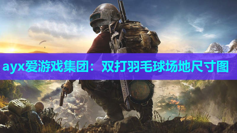 双打羽毛球场地尺寸图