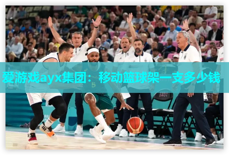 移动篮球架一支多少钱