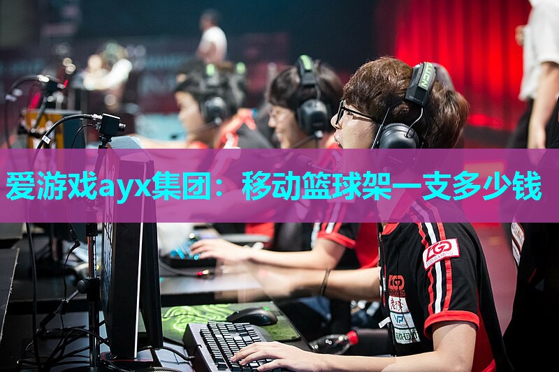 移动篮球架一支多少钱